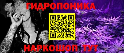 прущие грибы Гусиноозёрск