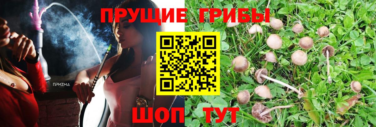 Люберцы  Псилоцибиновые грибы мицелий  Вход с VPN 